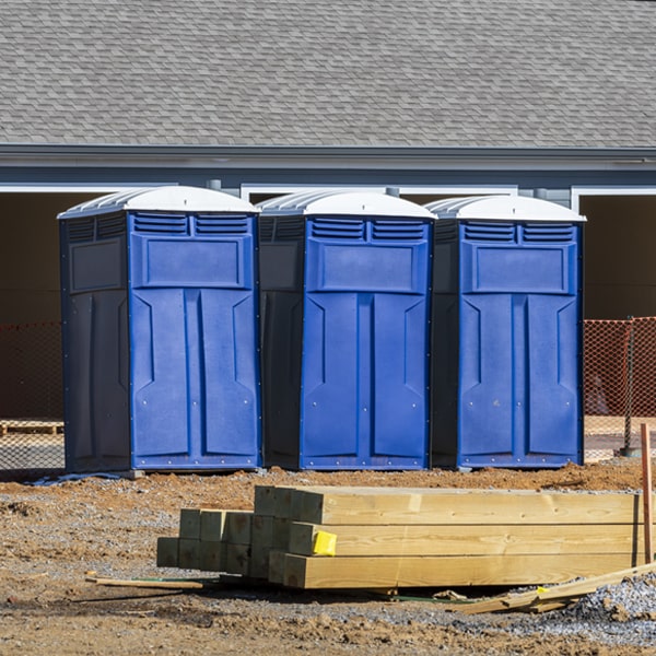 how can i report damages or issues with the porta potties during my rental period in Bonesteel